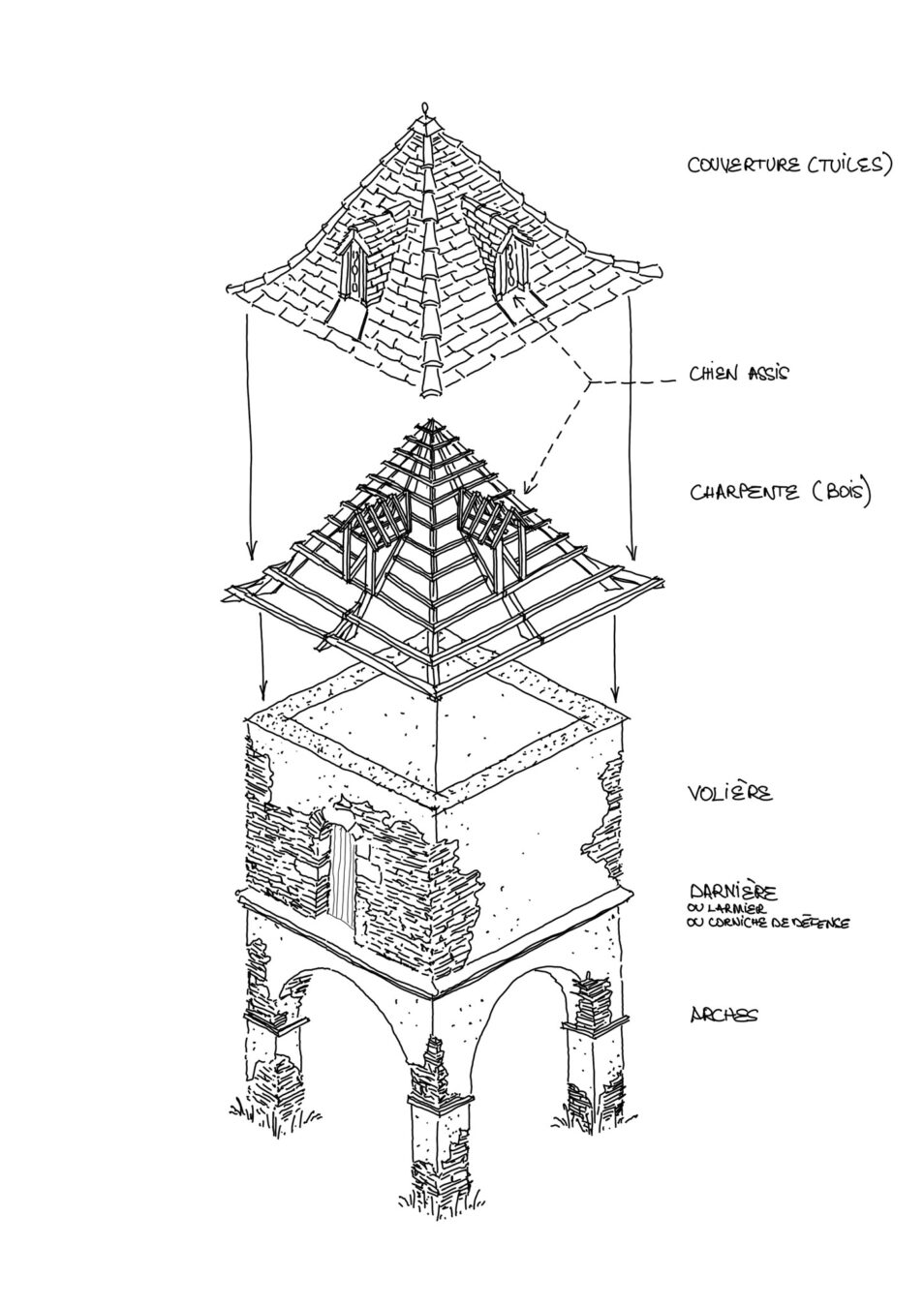 Tentatives d'épuisement du pigeonnier du Mirail . 2025