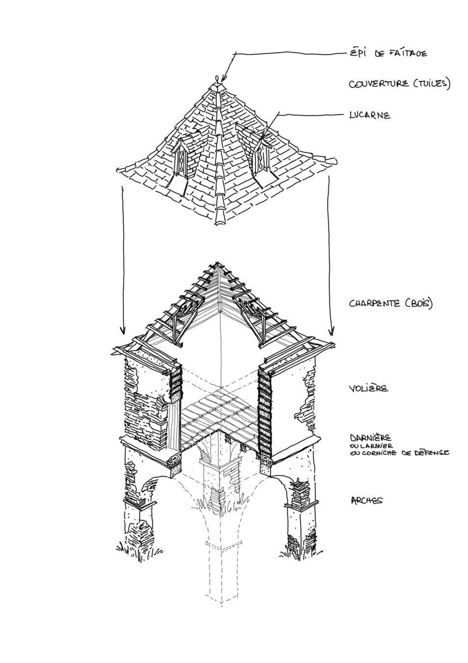 Tentatives d'épuisement du pigeonnier du Mirail . 2025