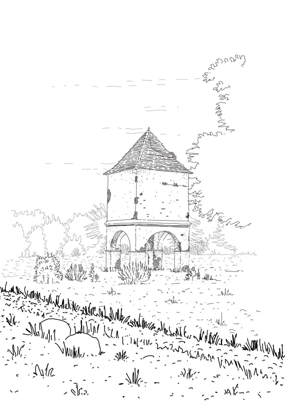 Tentatives d'épuisement du pigeonnier du Mirail . 2025