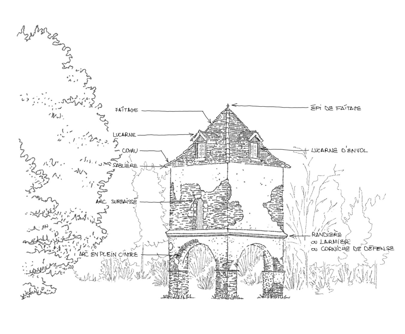 Tentatives d'épuisement du pigeonnier du Mirail . 2025
