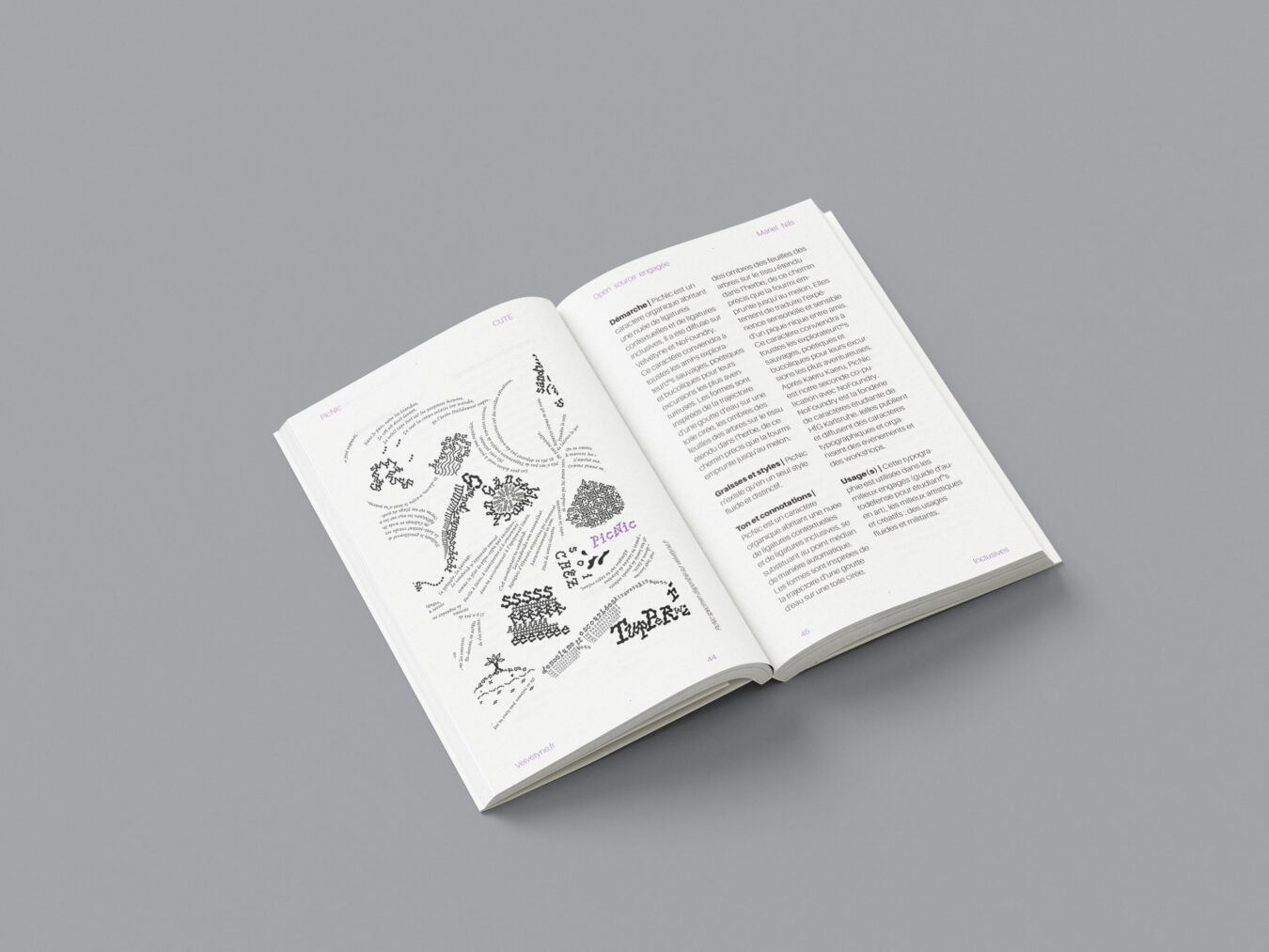 projet fictif . La typographie comme outil militant, aux éditions trouble . conception et exécution éditoriale . 2025
