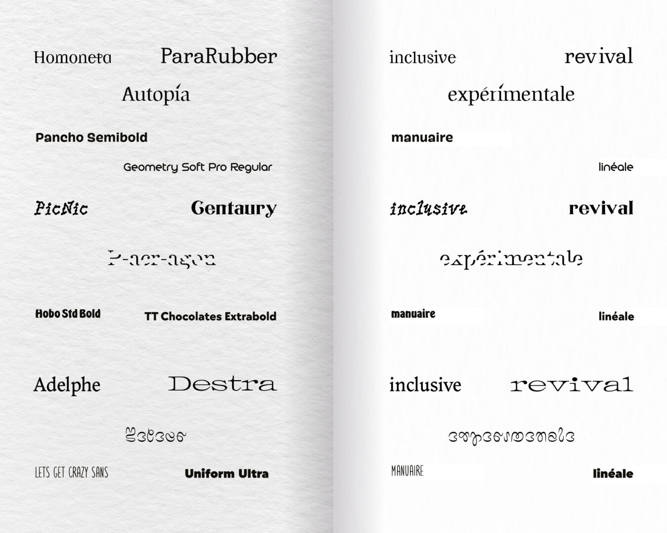 projet fictif . La typographie comme outil militant, aux éditions trouble . conception et exécution éditoriale . 2025