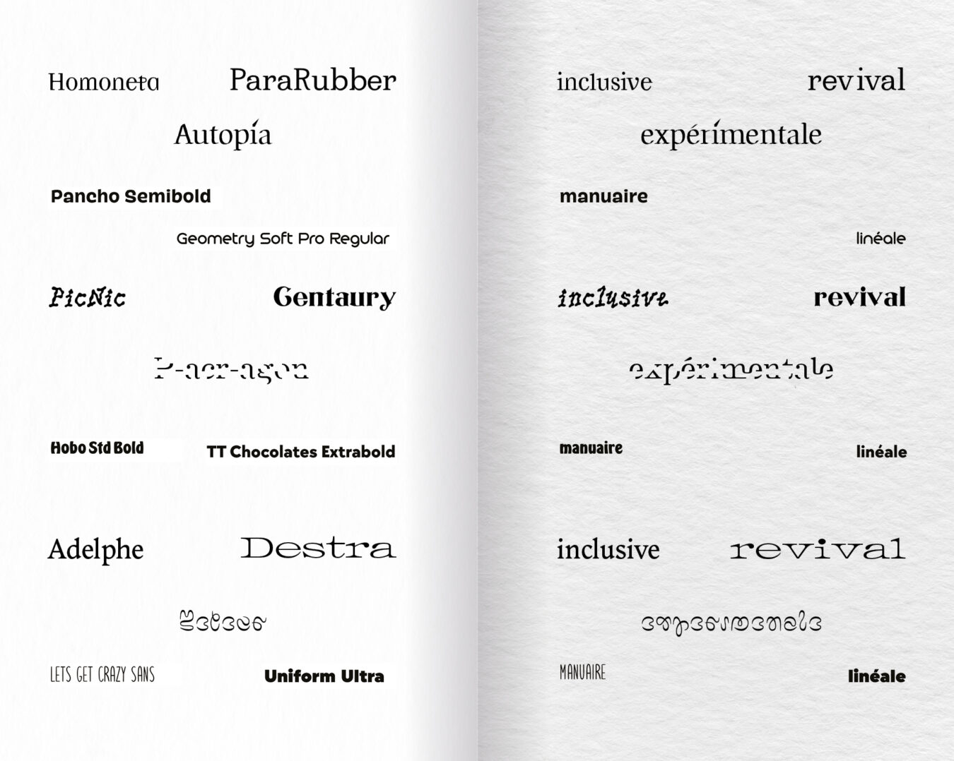 projet fictif . La typographie comme outil militant, aux éditions trouble . conception et exécution éditoriale . 2025