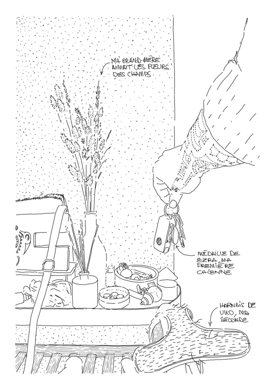 Tentatives d'épuisement de l'appartement B29, Résidence du Clos-Saint-Jean, Balma . 2026