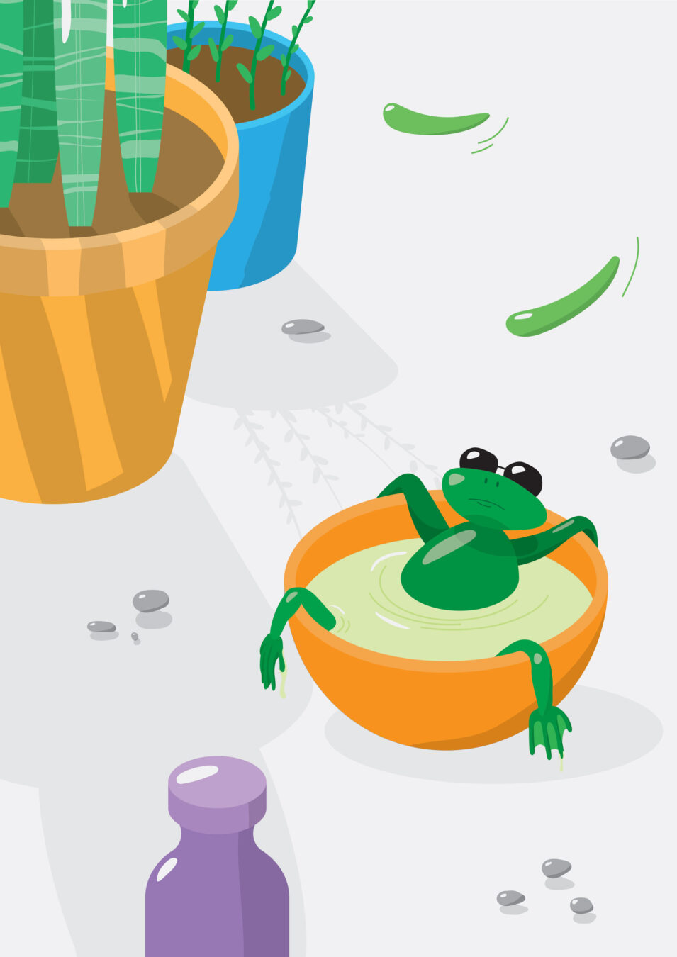illustration . flat design [ 2025 ]